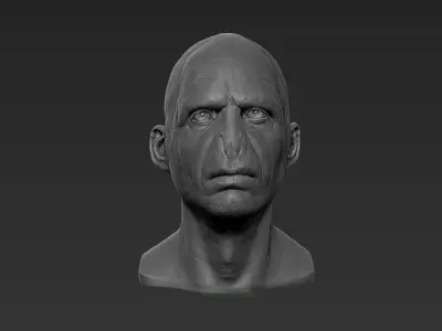 Voldemort Fan Art for 3d print 3D print model