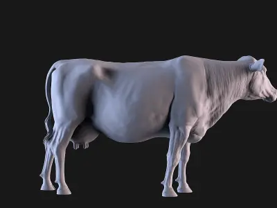 Cow and Bull 3D print model