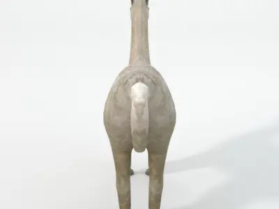 Llama alpaca Low-poly 3D model