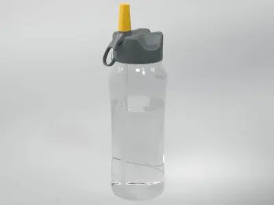 Reusable Water Bottle 3D model