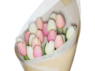 Flower Set 20 - Pink and White Tulips Bouquet 3D model