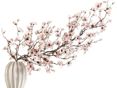 Magnolia Blossom Branches in White Ceramic Vase 3D model