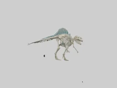 chthyosaurus Skeleton model Low-poly 3D model