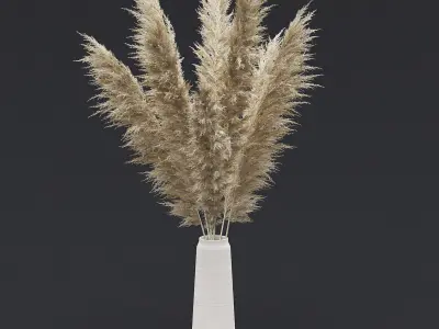 Pampas Grass II 3D model