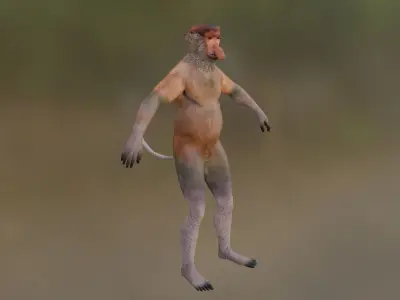 Bekantan Proboscis Monkey Low-poly 3D model