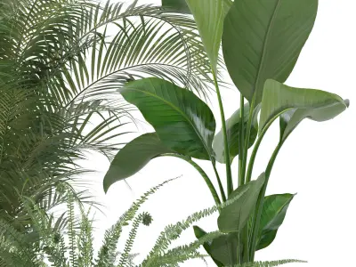 Plants collection 137 3D model