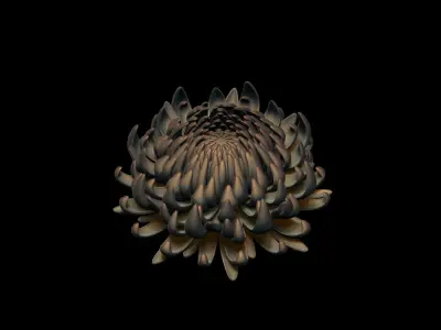 Aster 3D print model