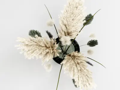  Bouquet04 dry pampas and grass 3D model