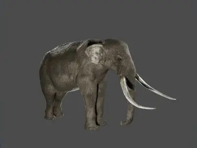 Elephant with long tusks Low-poly 3D model