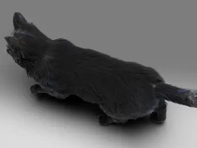 Fur Cat Black NO Rigged Low-poly 3D model
