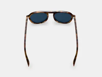 Blaise Sunglasses in Woodgrain Tortoise 3D model