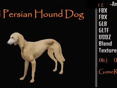 Saluki Persian Hound Dog Low-poly 3D model