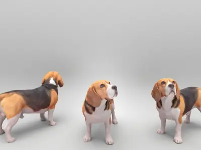 Walking dog 27 Low-poly 3D model