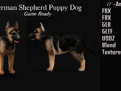 German Shepherd Puppy Dog Low-poly 3D model