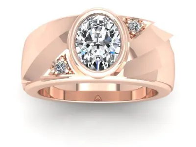 Ali-877-Ring Free 3D print model