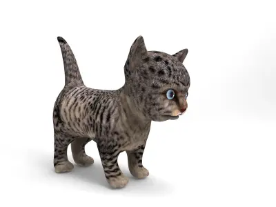 Wild Cute cartoon Cat Rigged Low-poly 3D model