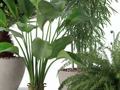 Plants collection 132 3D model