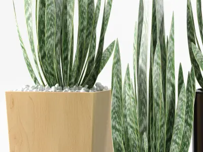 Plants 103 3D model