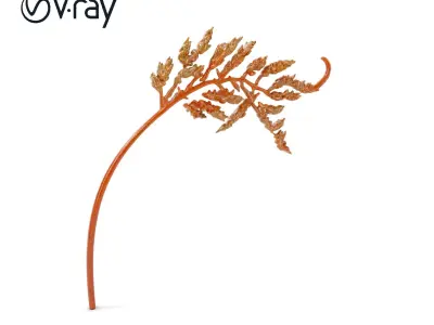 Fern Leaf Model Pack for D Environment Low-poly 3D model