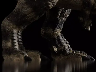 Ceratosaurus - Rigged Dinosaur - Animation Addon 3D model