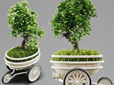Indoor Plant Bonsai 01 3D model