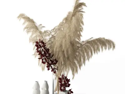 Pampas grass and Cymbidium 3D model