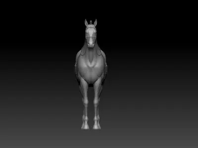 zbrush horse Low-poly 3D model