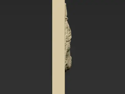 Wolf Head A49 3D print model