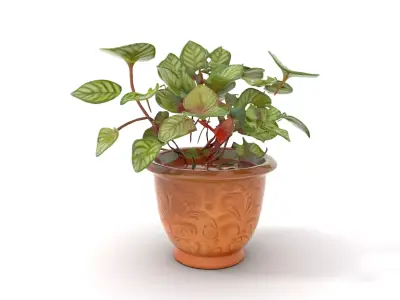 Ornate Copper Plant model pack Low-poly 3D model