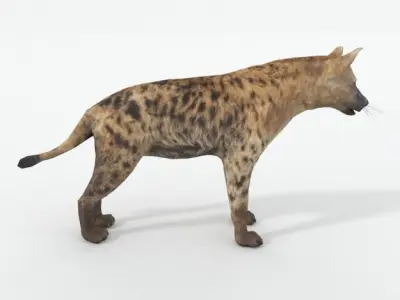 Hyena lion Low-poly 3D model