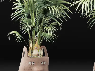 Plants Collection 140 Sabal 3D model