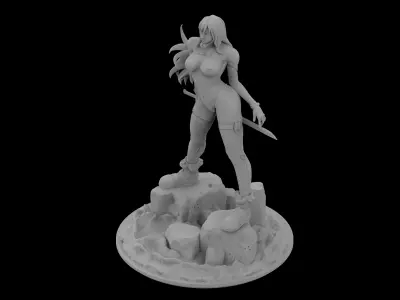 Shadaloo Reika  3d model file for 3d printer 3D print model