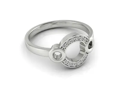 Ring 108 3D print model