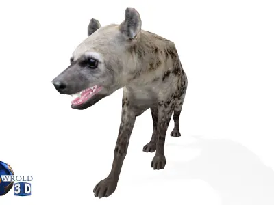 Lowpoly hyena rigged animated 3d model Low-poly 3D model