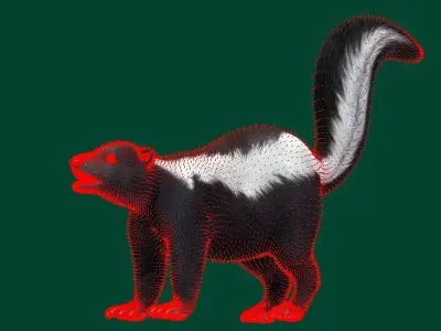 Skunk Mammal Animal 3D model