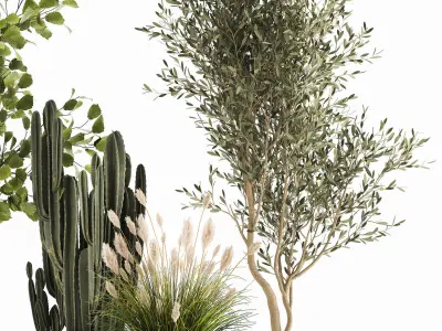 Ornamental plants in rattan baskets 1035 3D model