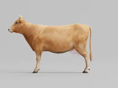 Domestic Cattle Oxen Animals Low-poly 3D model