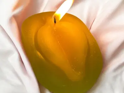 Mold anatomy vagina 3D print model