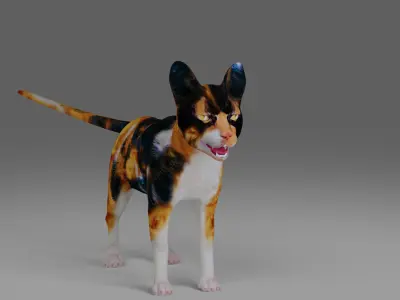 Calico Cat Rigged and Animated V4 in Blender Low-poly 3D model