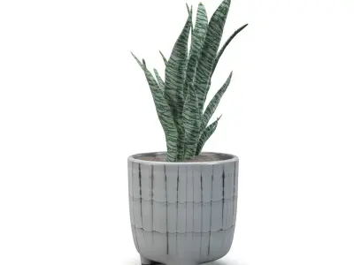 Terracotta Footed Planter with Artificial Plant  PBR 3D model