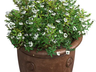 Flowers in a classic vase for decoration Flowerpot  3D model