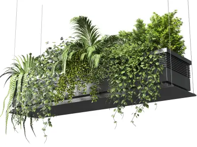 collection Indoor plants hanging pot 10 metal bax vase 3D model