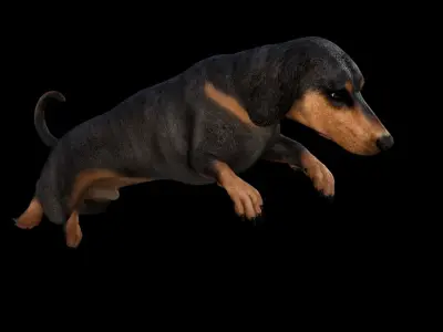 5 stand alone obj-10 3D model