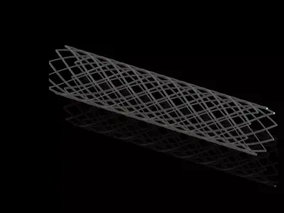 3D Vascular Stent 3D model