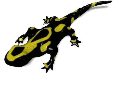 Salamander Model lizard Low-poly 3D model