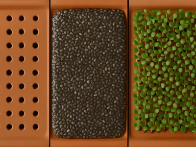 Penguin Sprouter Seed Chia Radish Lentil Germinator toy 3D print model