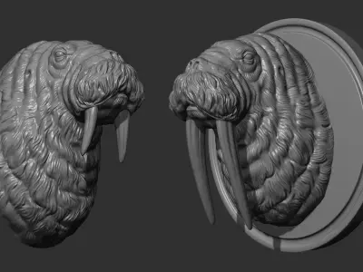 Walrus head 3D print model