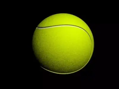 Tennis ball Free 3D model order