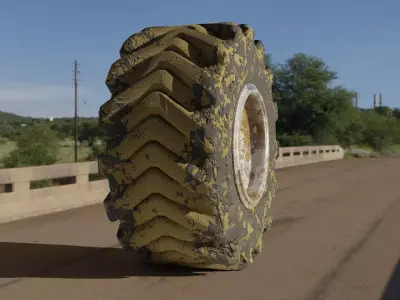 Tire 3D model gold medallion Low-poly 3D model