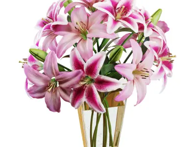 Flower Set 12 - Pink Lilies Bouquet 3D model